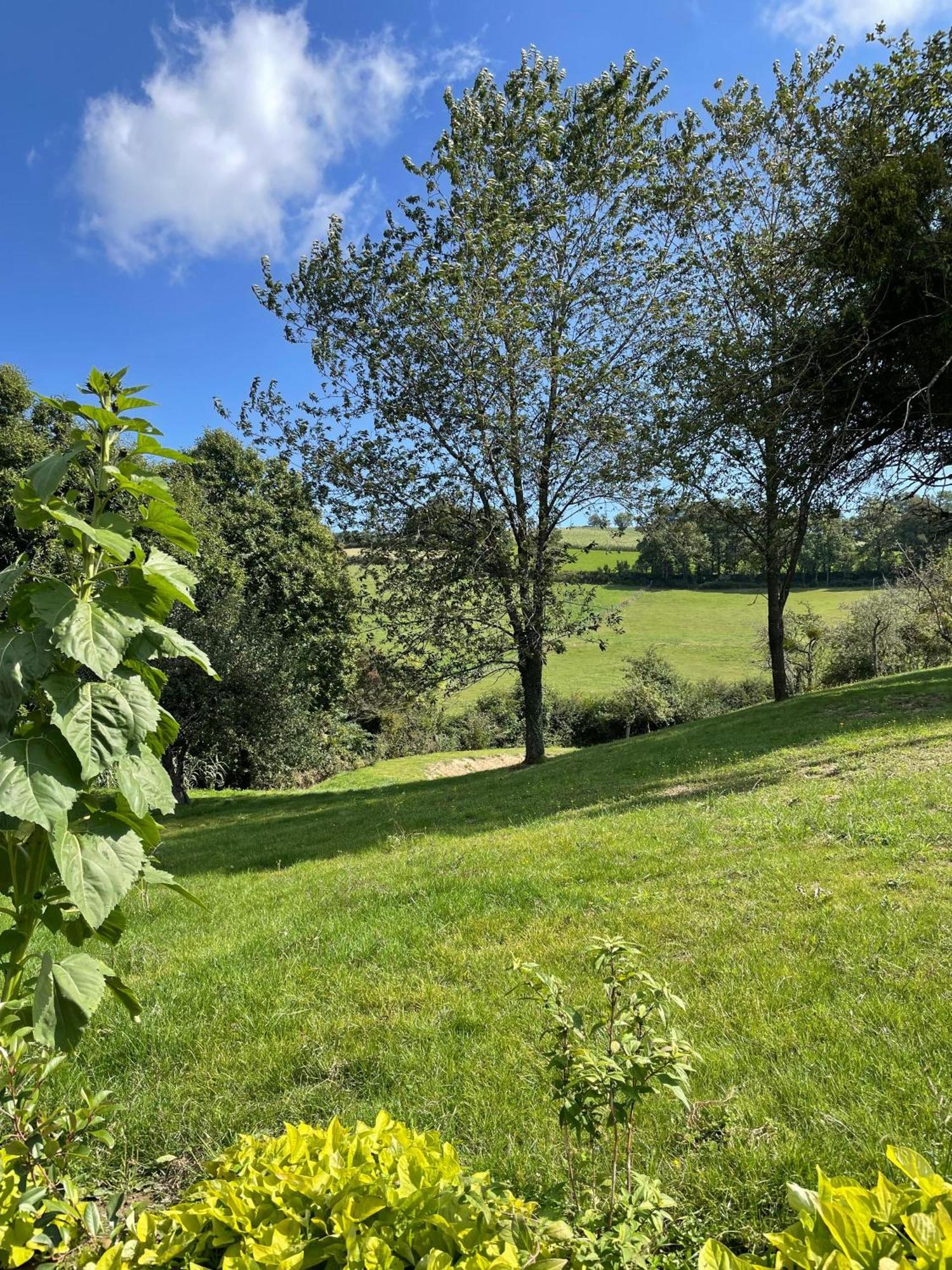 Le Domaine De La Plume Hotell La Gimond Exteriör bild